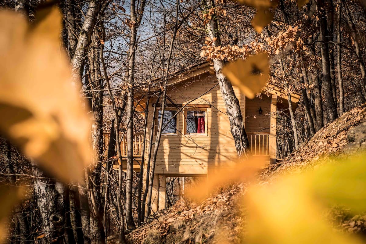 The Casalot Nest Treehouse Rental