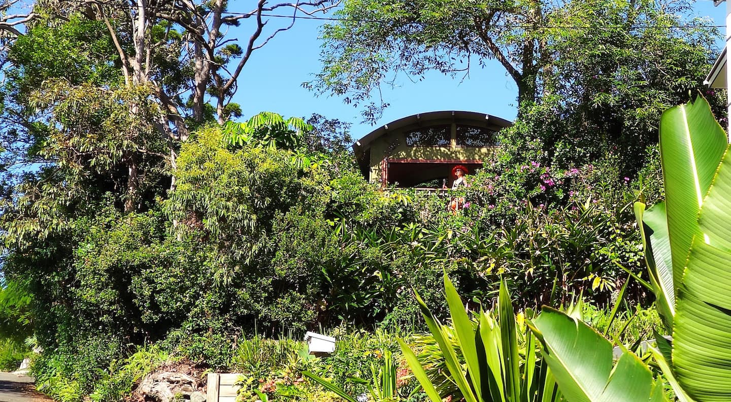 The Ocean Treehouse Airbnb Queensland Australia