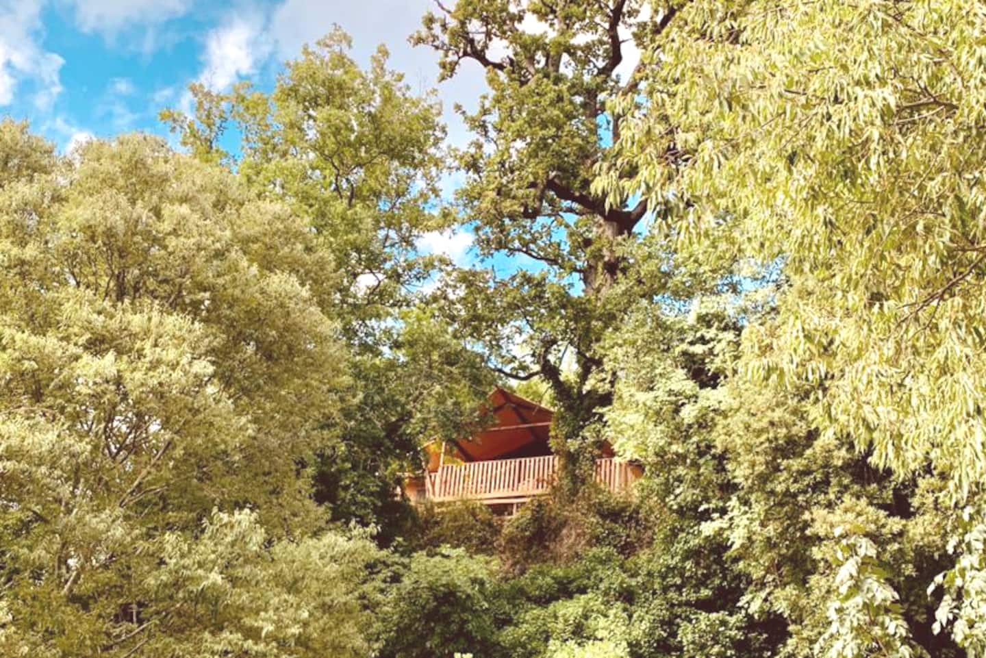 Treehouse Crusoe Tent