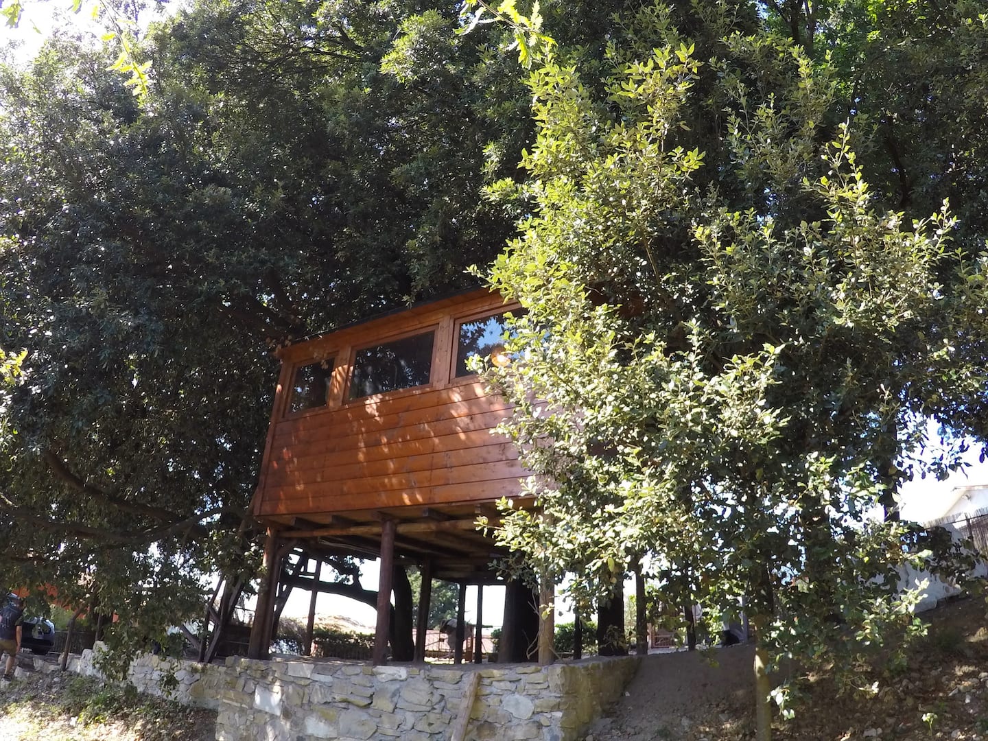 Treehouse Holm Oaks