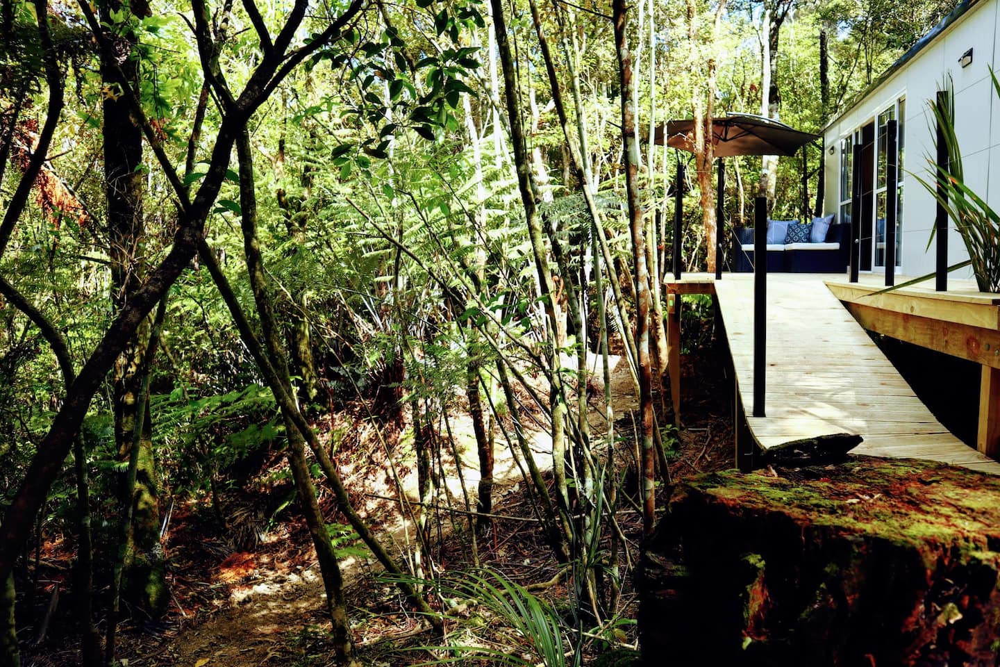 Tui Bush Chalet New Zealand