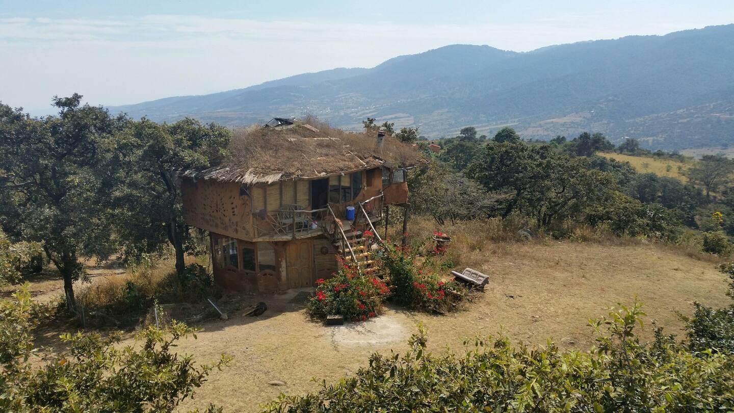 Unique Treehouse Rental in Mexico