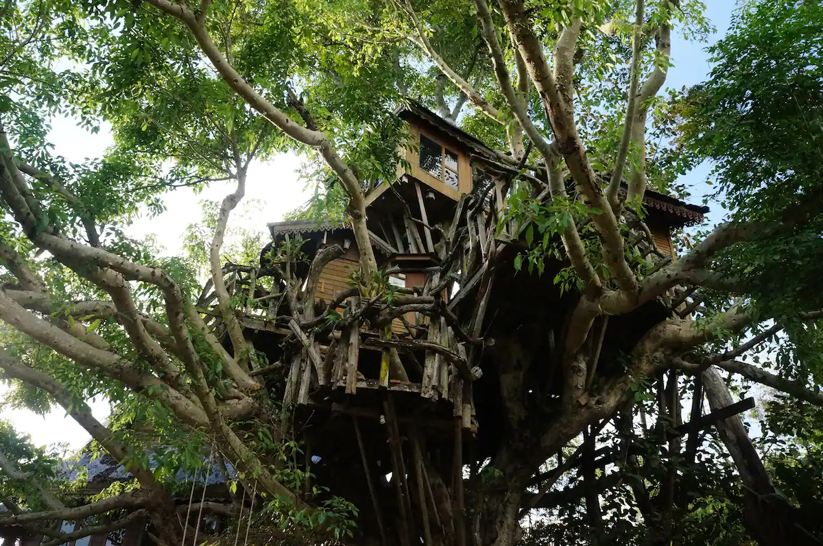 Amazing Treehouse Airbnb in Thailand