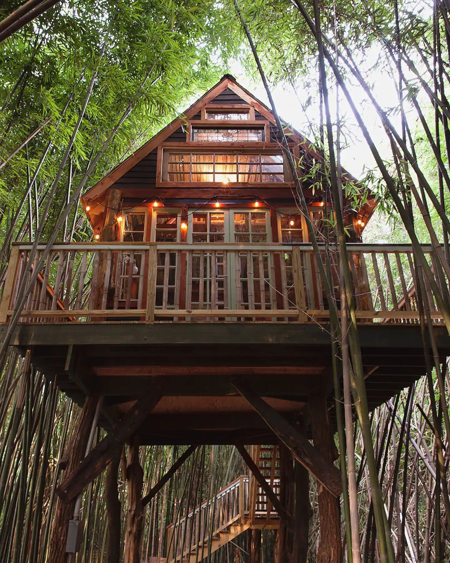 Atlanta Alpaca Treehouse in the Bamboo Forest