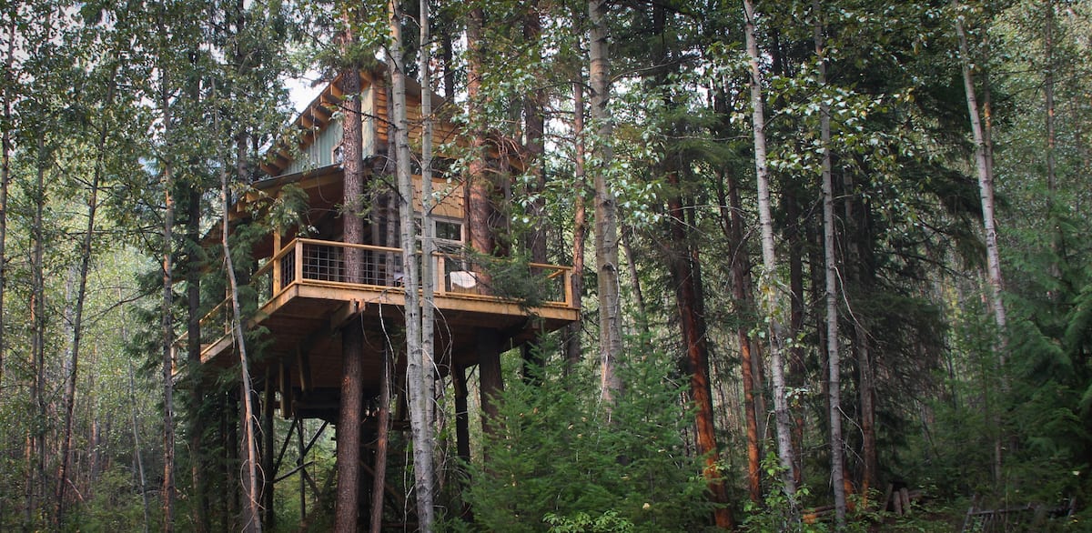 Creekside tree house nestled in an interior forest