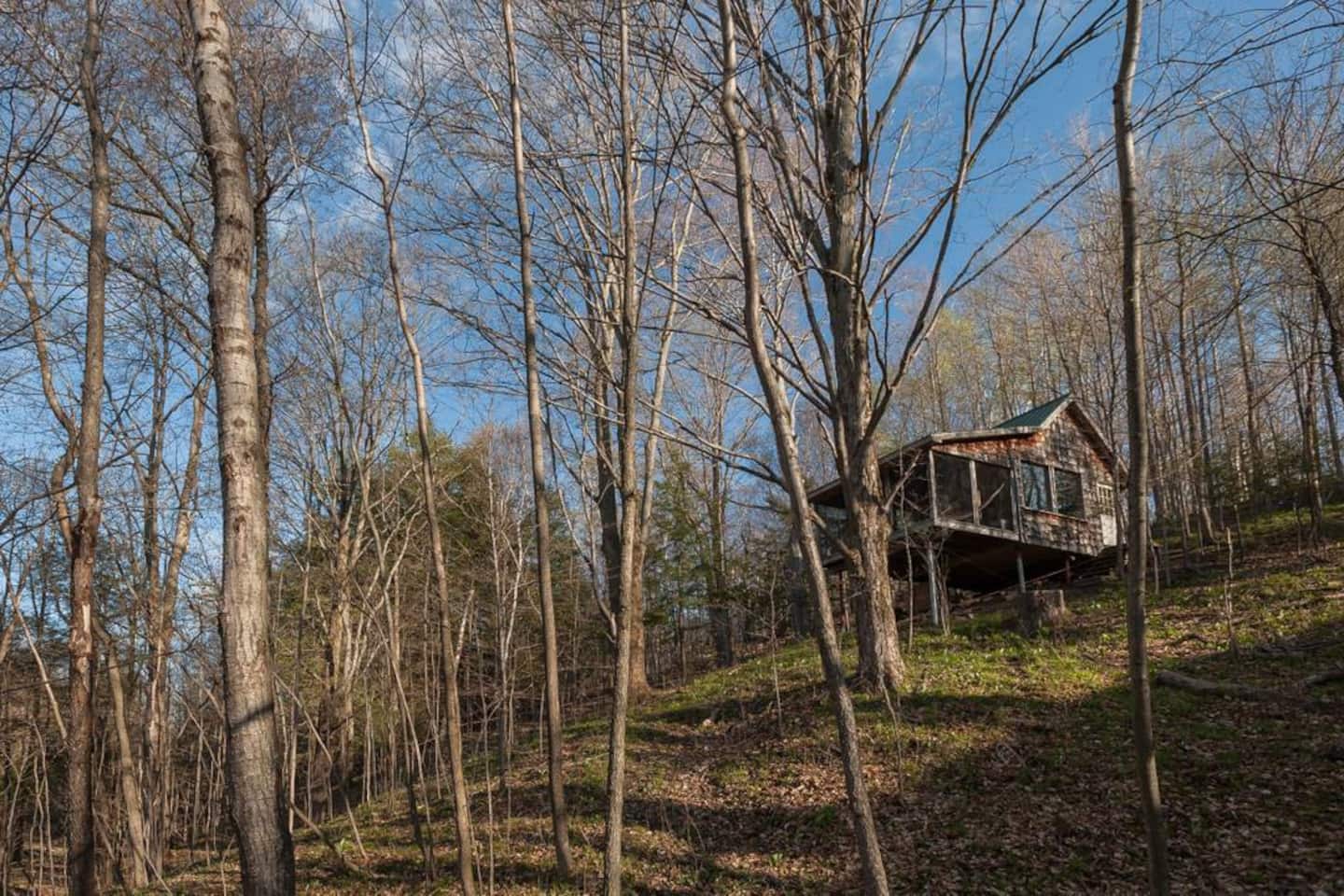 Deluxe Treehouse Near Toronto, Canada