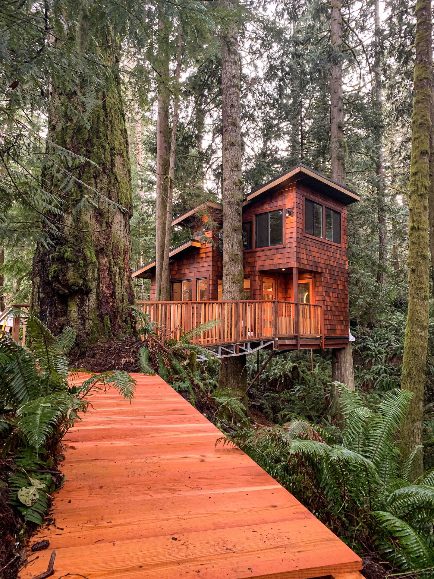 East Sooke Tree House Airbnb