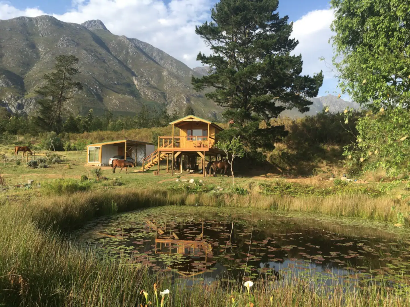 Eco Treehouse Rental