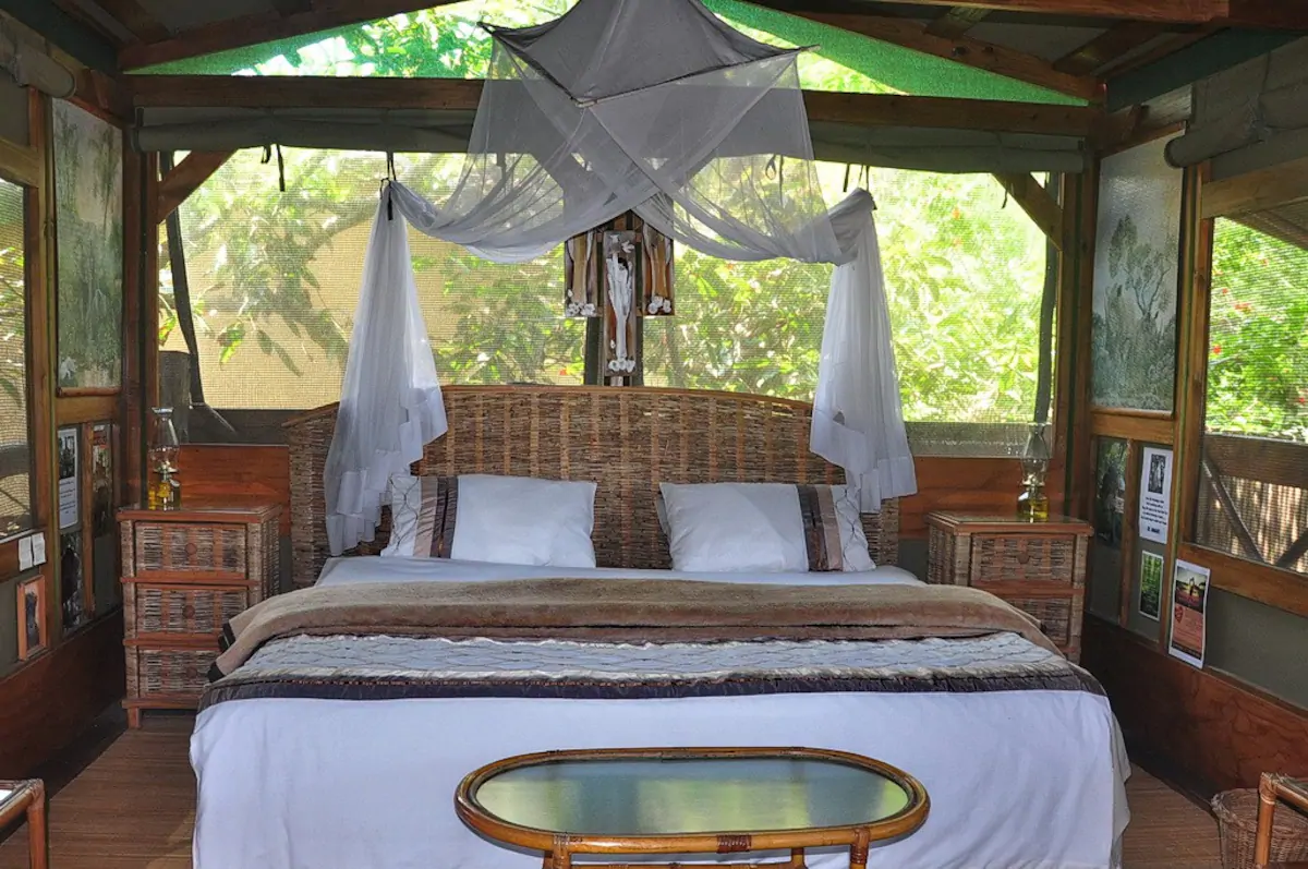 Enduduzweni Tree House Rental in South Africa