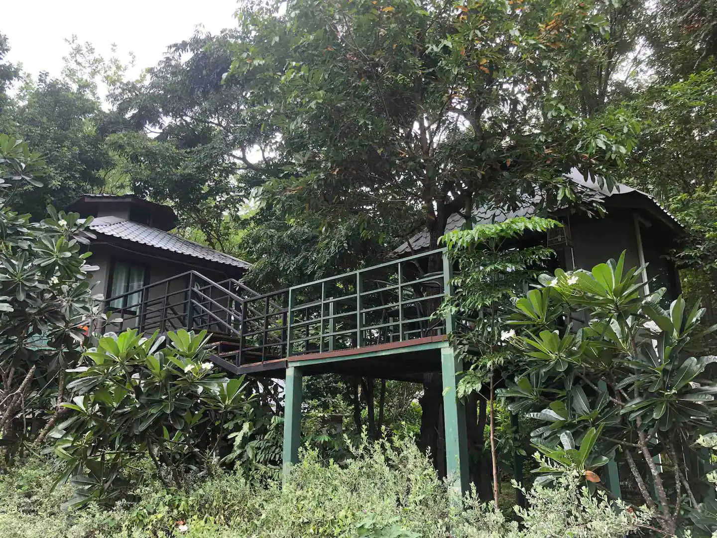 JungJa Hut Treehouse in Thailand