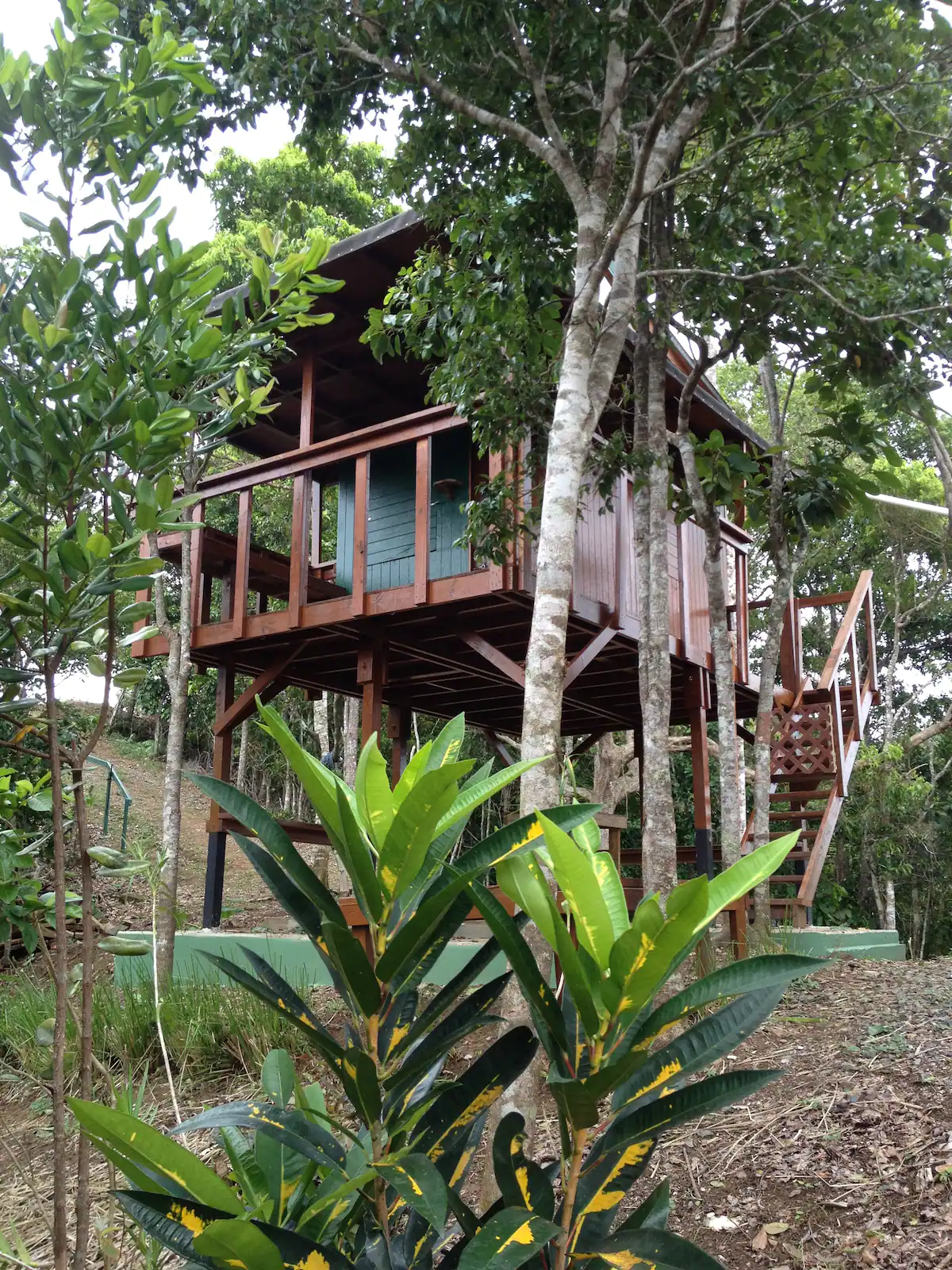 Lake Carite Puerto Rico Treehouse