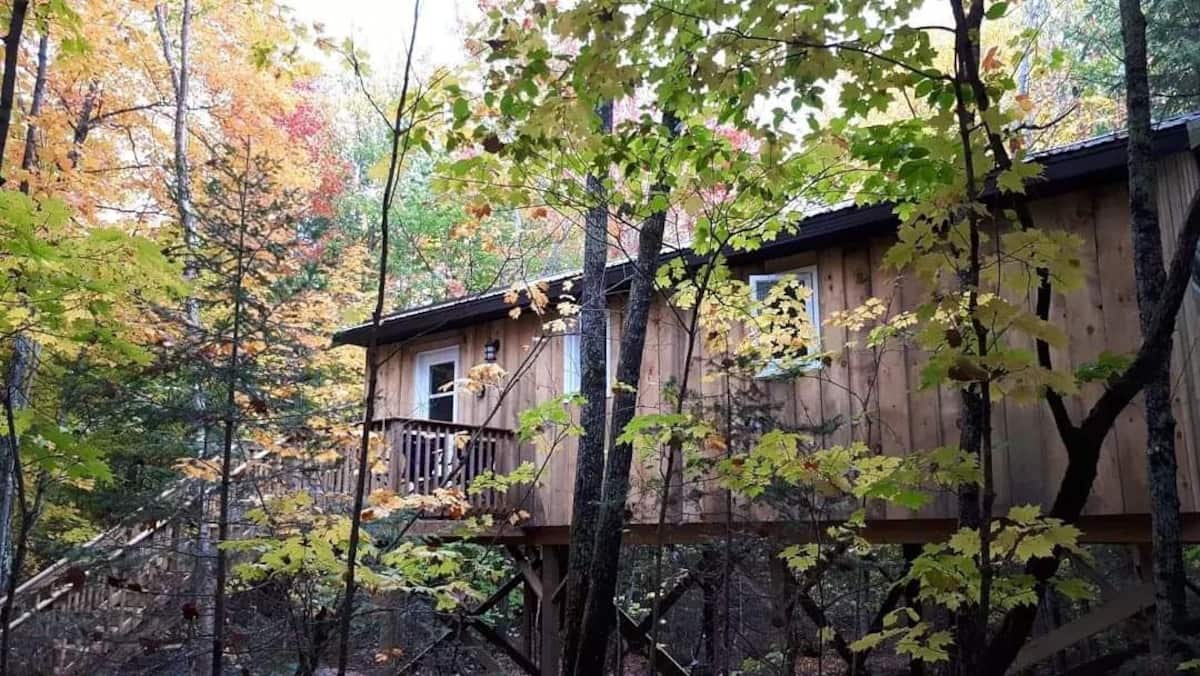 Lount Treetop Rentals Canada
