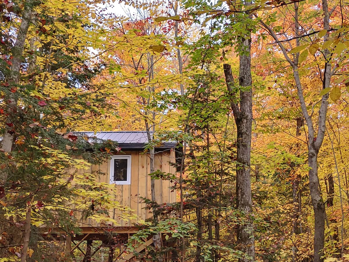 Lount Treetop Rentals Unit 2