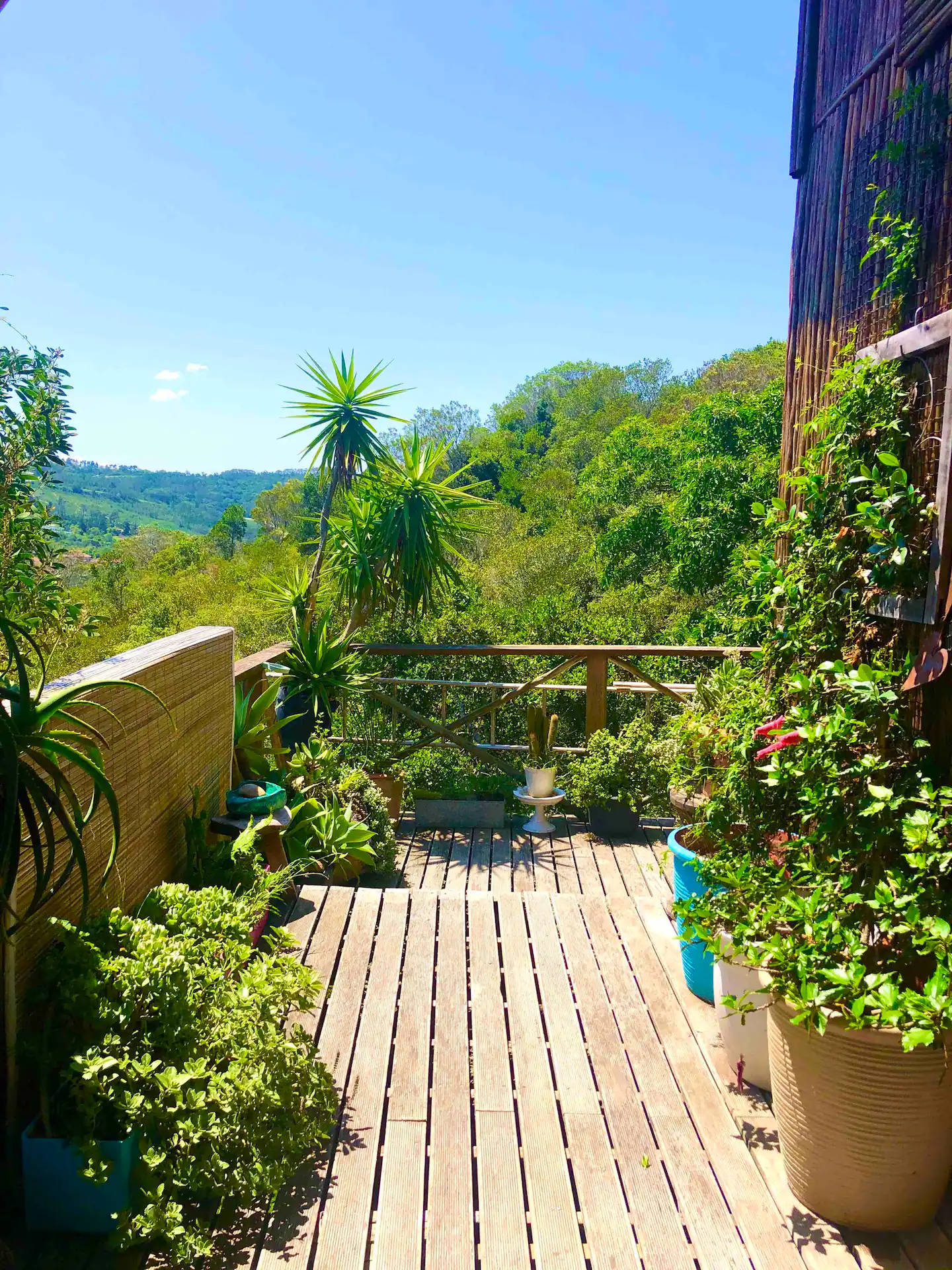 Peaceful Treehouse in Western Cape Town, South Africa