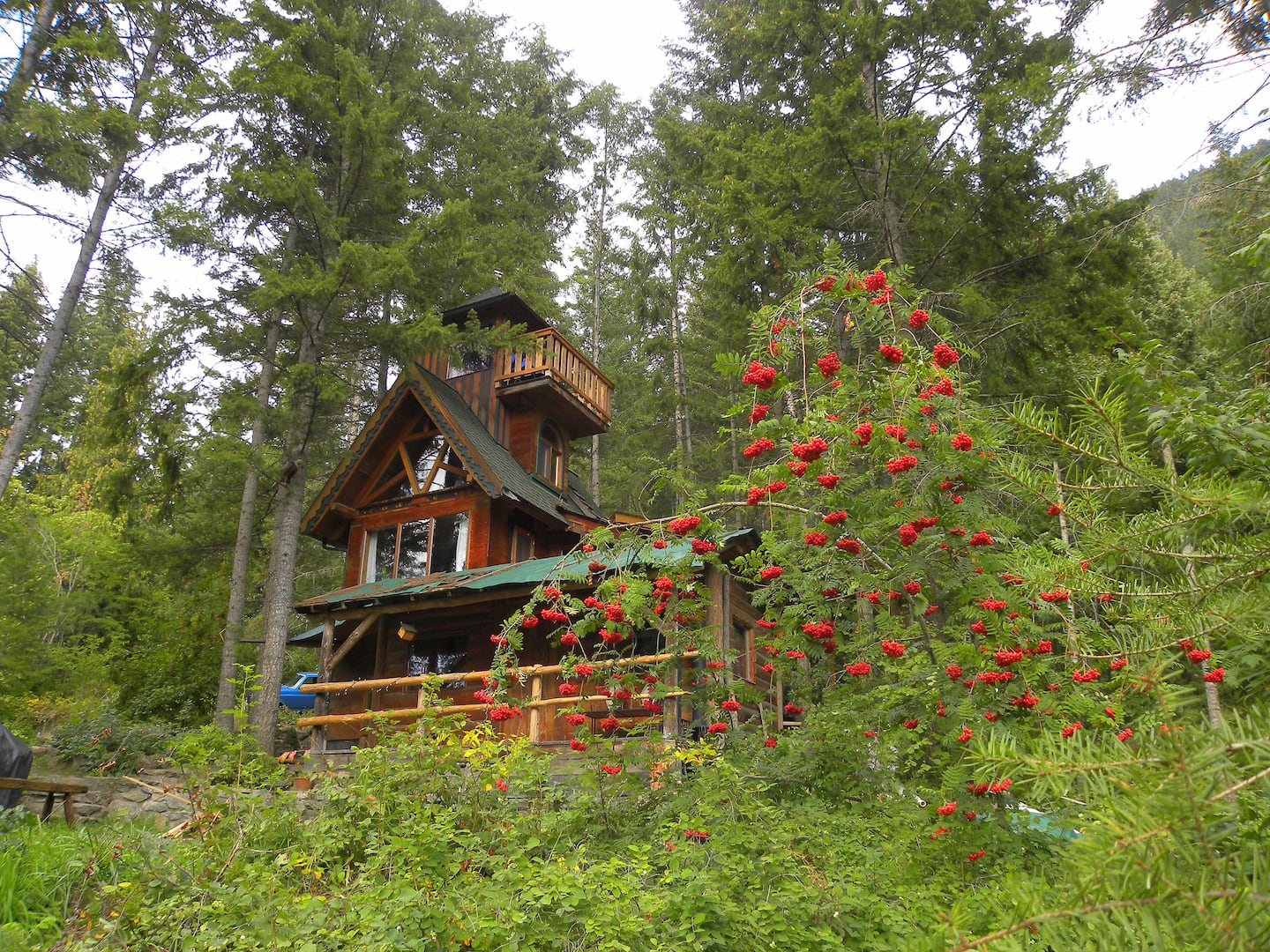 Secluded Treehouse Cabin in Canada