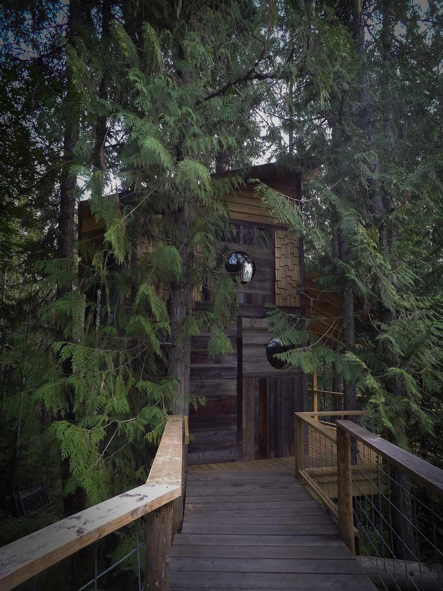 Shaky Knees Treehouse