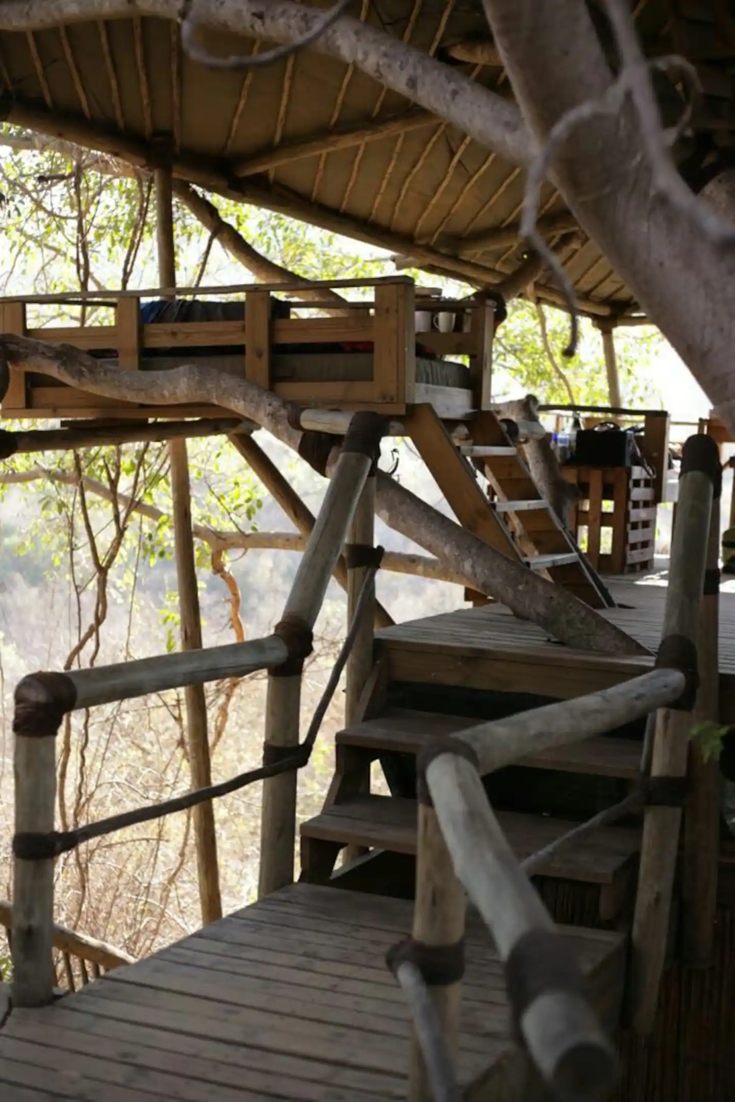 The Fig Treehouse