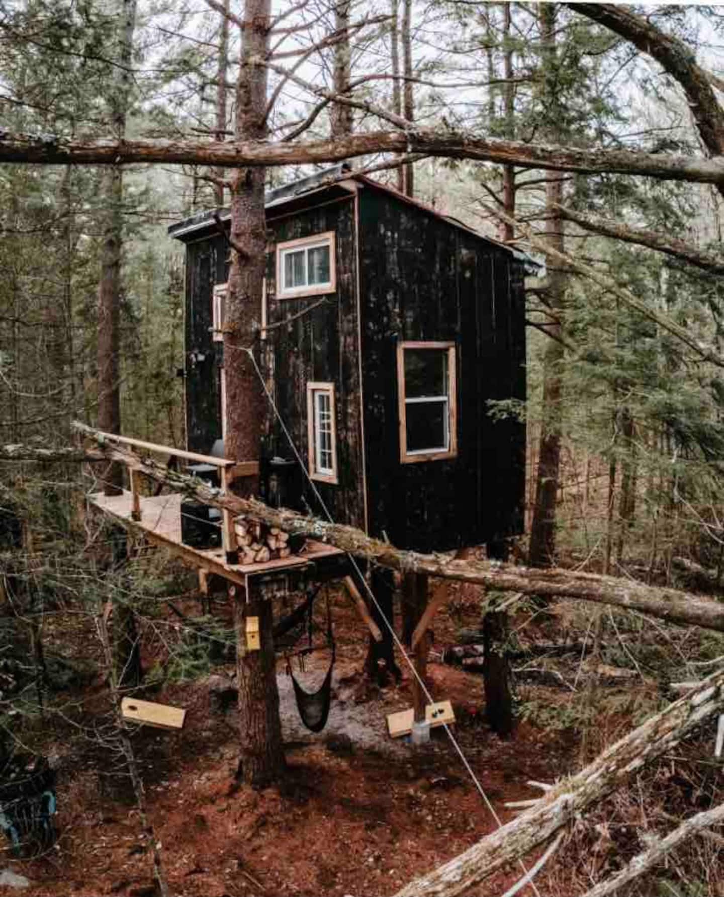 The Tamarack Treehouse