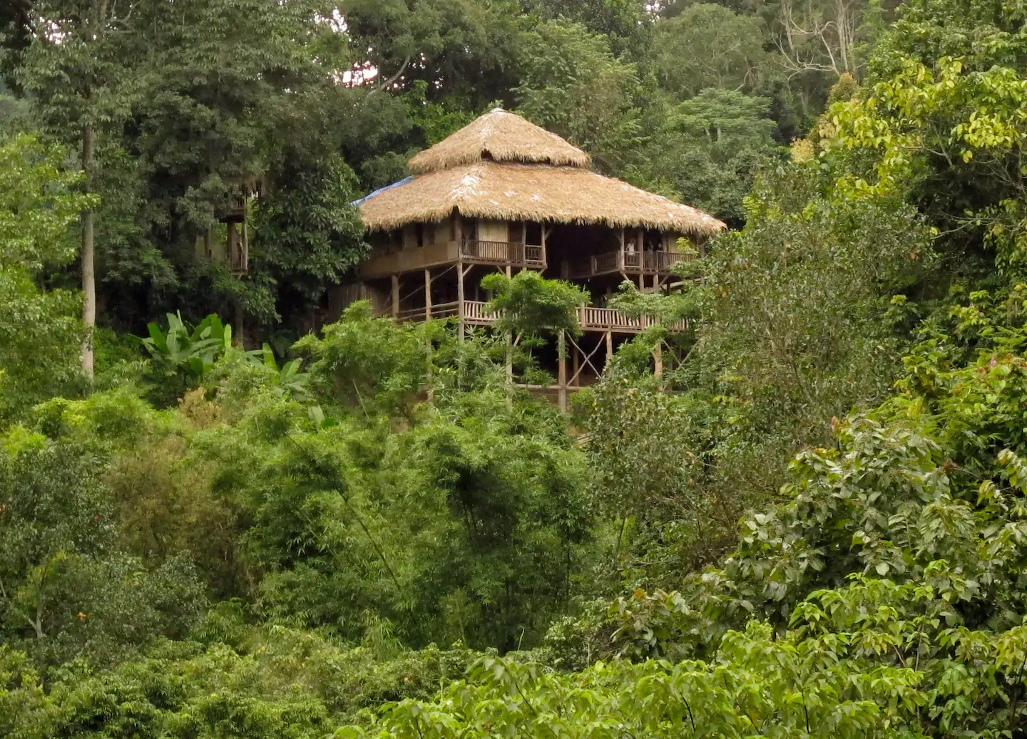 Tree House Hideaway Airbnb Rental Thailand