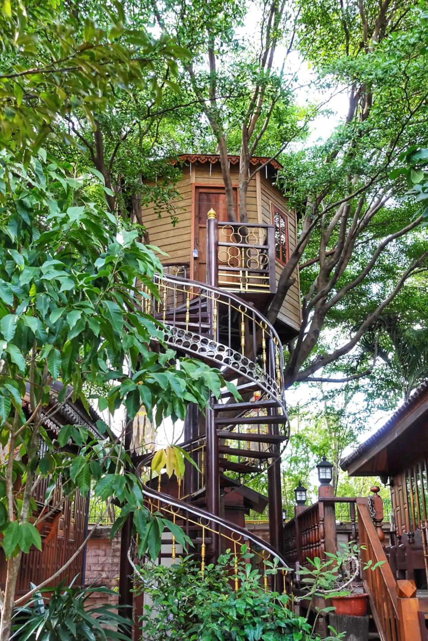 Treehouse in the City Airbnb